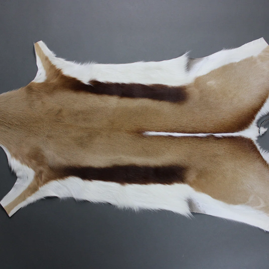 Gaudet Brown Rug