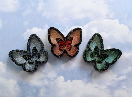 Butterfly Ppg Magnets