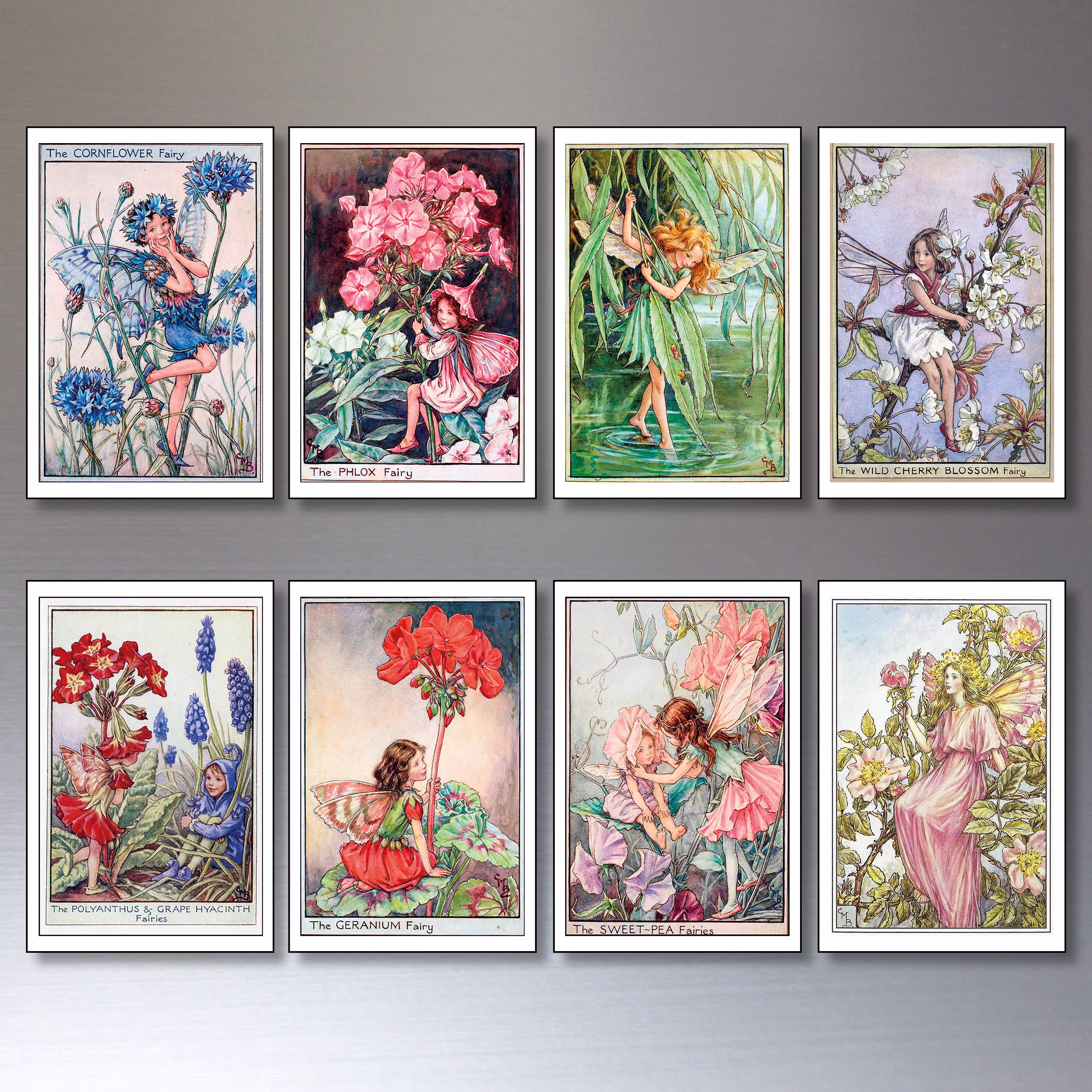 Fridge Magnets Vintage Victorian Garden Fairies Illustrations Set Of 8 Decorative Magnets