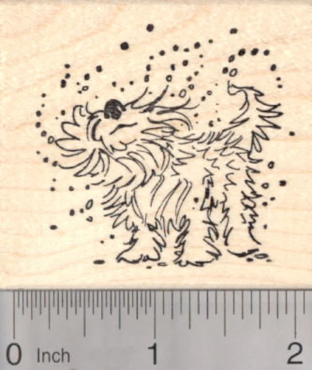Wet Dog Rubber Stamp, Summer Fun At The Pool J18111 Wood Mounted