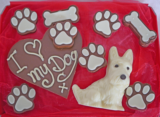 Hand-Made Belgian Chocolate Westie Dog Lovers Gift Box