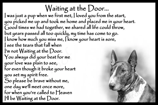 Bull Terrier Dog Pet Memorial Rainbow Bridge Gift