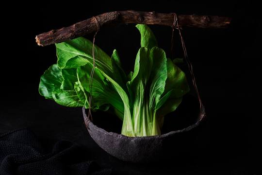 Woodland Inspired Bowl, Black Rustic Ceramic Dark Fruit Bowl With Branch Handle, Natural Organic Large Rustic Handle