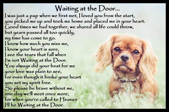 Ruby Cavalier King Charles Spaniel Dog Memorial Magnetic Sympathy Card Gift