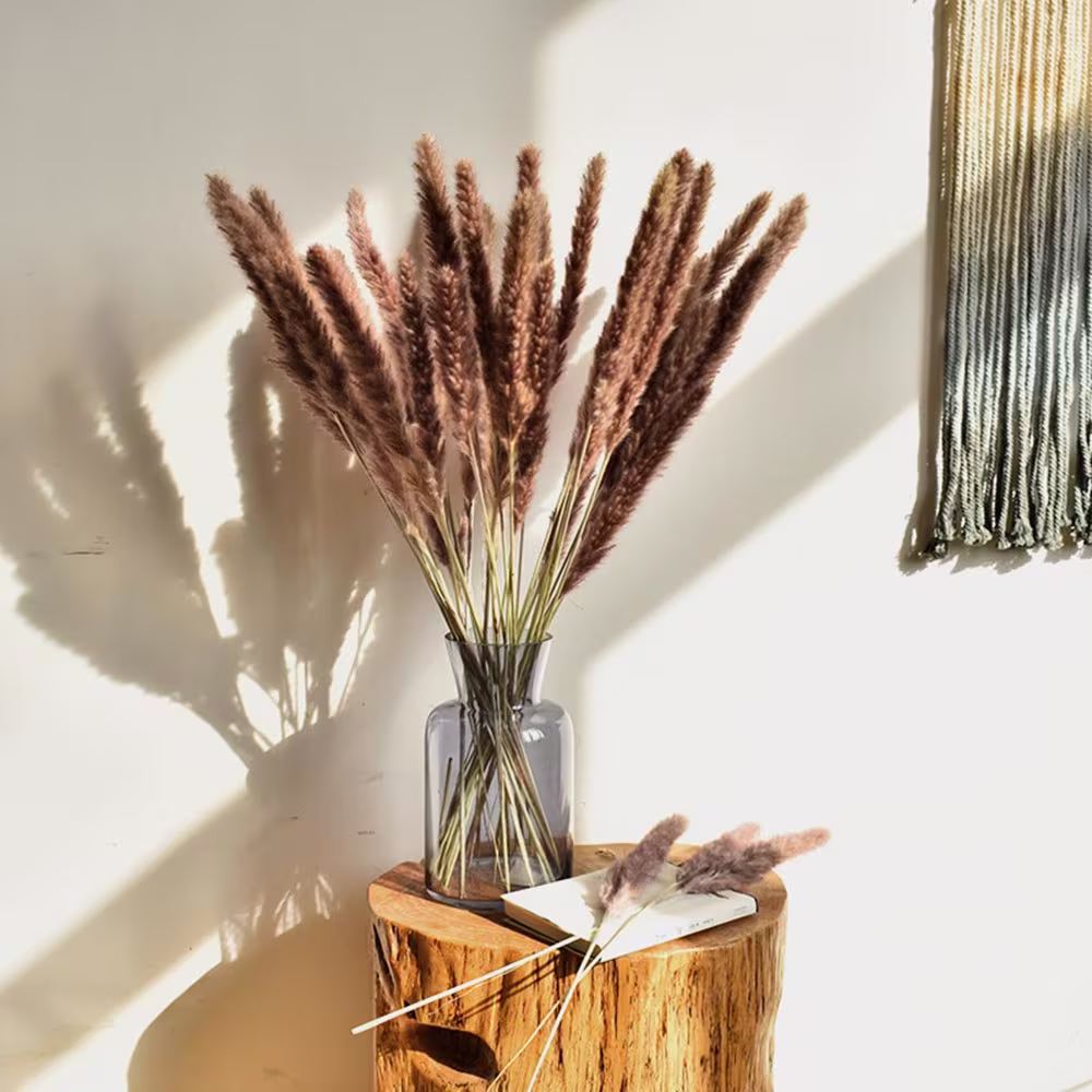 2 Type Natural Pampas Grass Small, 22