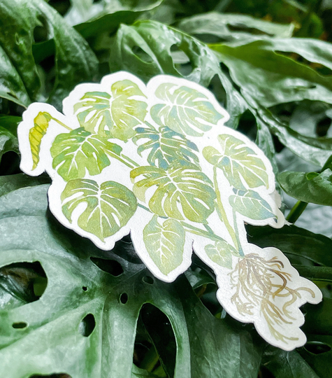 Monstera Sticker, Deliciosa Watercolor Plant Houseplant Accessory, Art, Vinyl Decal Laptop, Nalgene Sticker