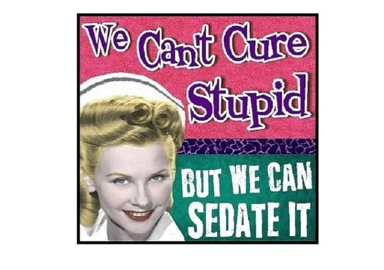 Funny Nurse Gifts Sedate Stupid Retro Refrigerator Magnet