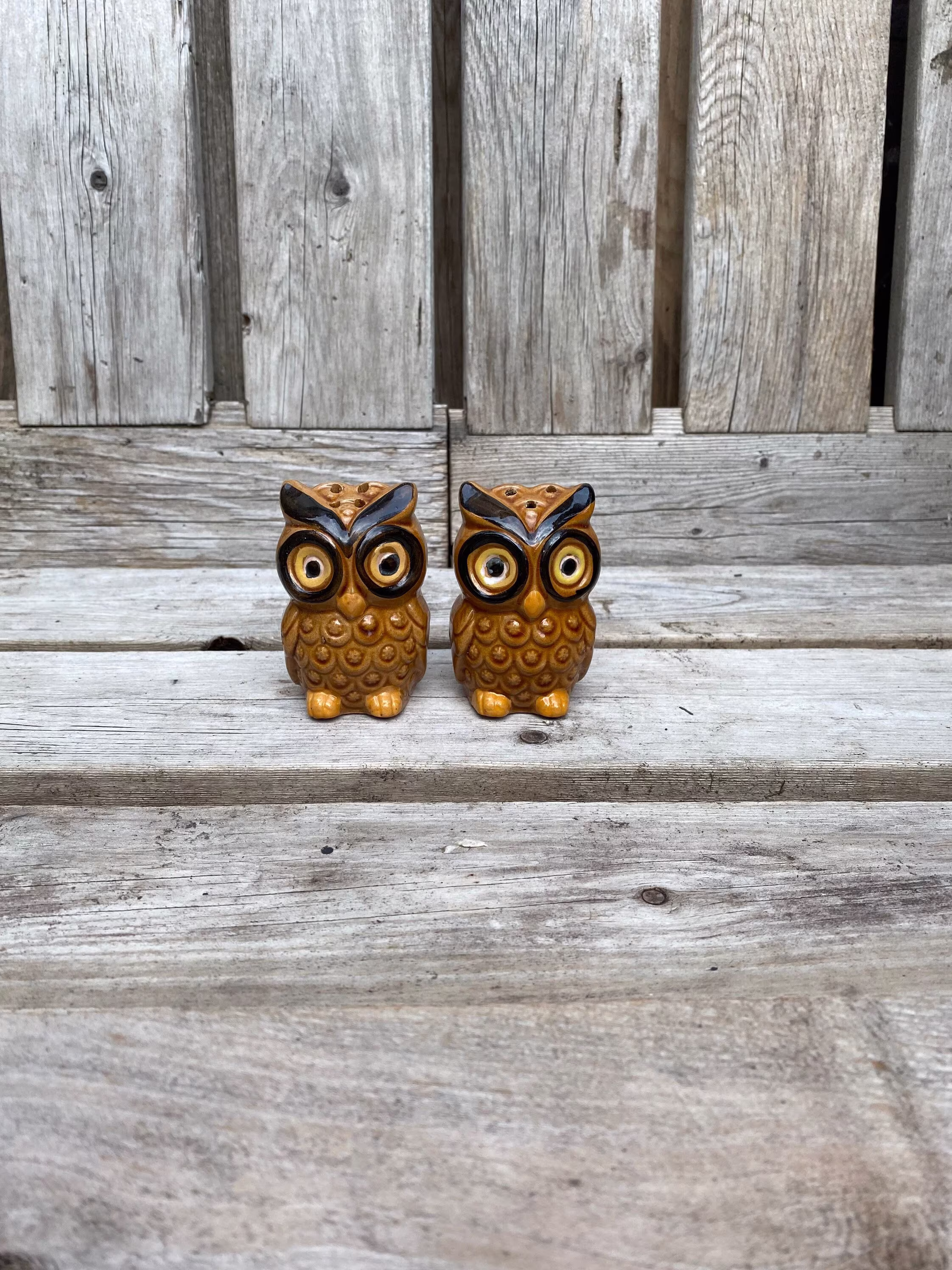 Collectible Salt Shaker/& Pepper Owl