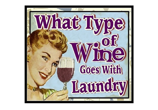Funny Gifts What Goes With Laundry Retro Refrigerator Magnet