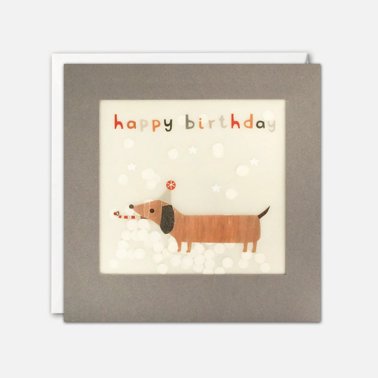 Dachshund Birthday Card With Paper Confetti - Shakies By James Ellis