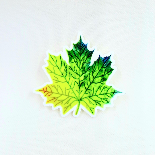 Multi Green Maple Leaf Resin Needle Minder For Cross Stitch D111