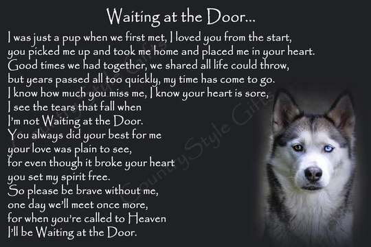 Siberian Husky Dog Pet Loss Memorial Bereavement Fridge Magnet Keepsake Gift Waiting At The Door