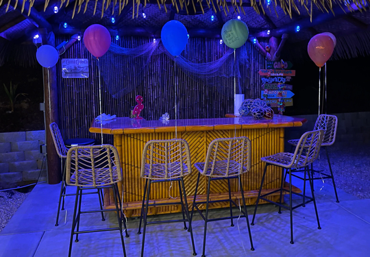 Bamboo Tiki Hut Bar, Outdoor Patio Outside Backyard Palapa Bar On Wheels, Mini Fridge Deck Cabinet, Beach With Footrail