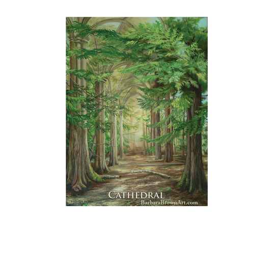Cathedral Grove Magnet | Original Oil Painting Print On Fridge Magnet Sacred Cedar Trees Forest Canadian Artist