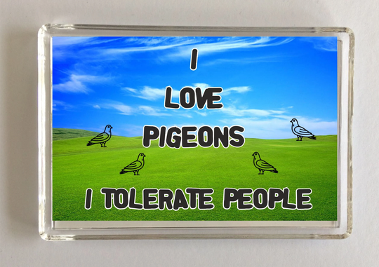 I Love Pigeons - Tolerate People Novelty Fridge Magnet, Ideal Present Gift For Birthday Christmas, Pigeons, Pigeon