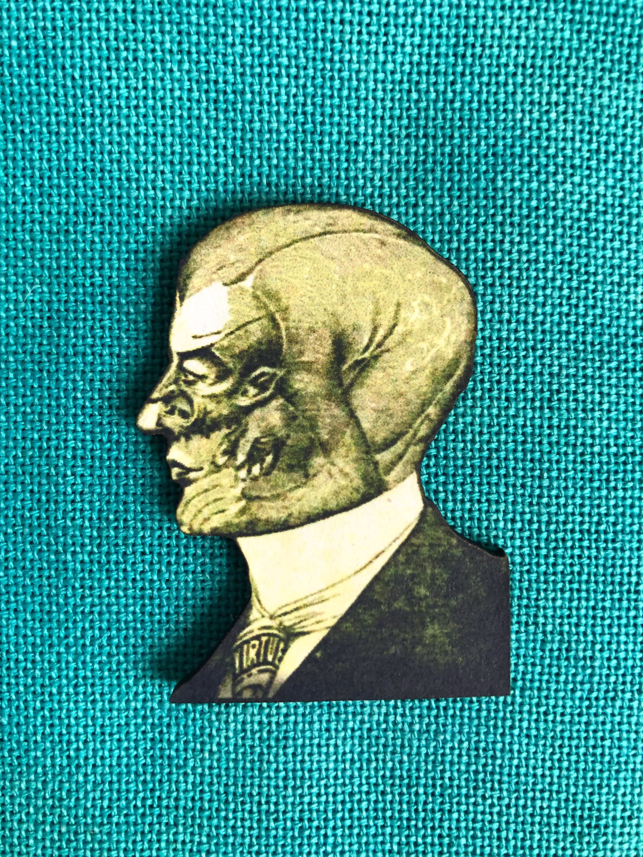The Arsenic Effect | Wooden Needle Minder| Cover Minder