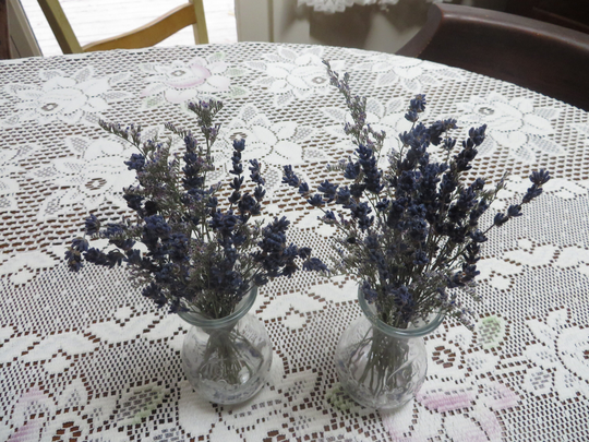 Dried Flower Bouquet in Los Fleurs Vase Bouquet Of Dried Flowers Lavender & Caspia Dried Flowers