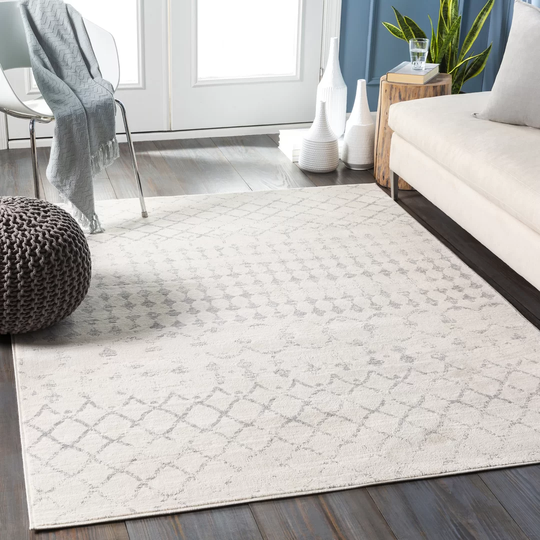 Power Loom Ivory/Light Grey Rug