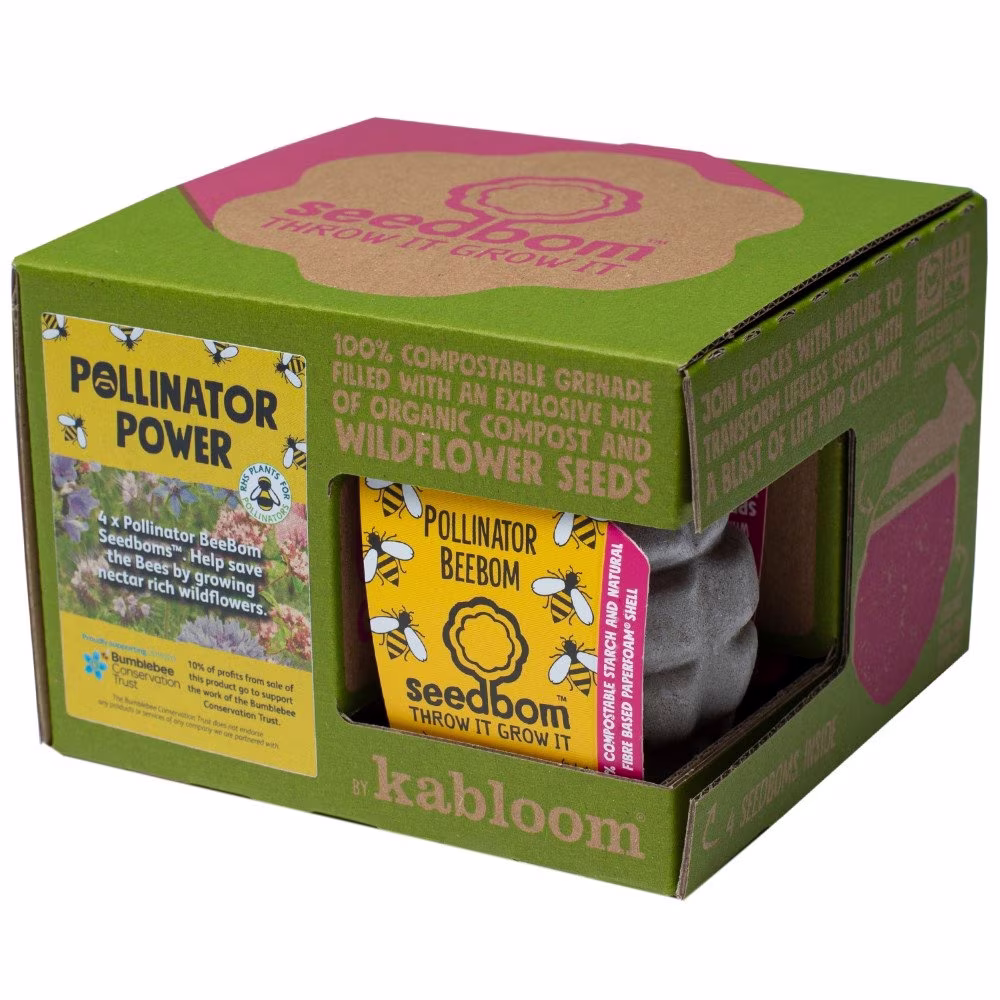 Pollinator Power Seedboms, 4 Pk Seedbom Gift Set, Christmas Gift, Seed Bombs, Gardeners Bomb, Care For The Bees, Gardening