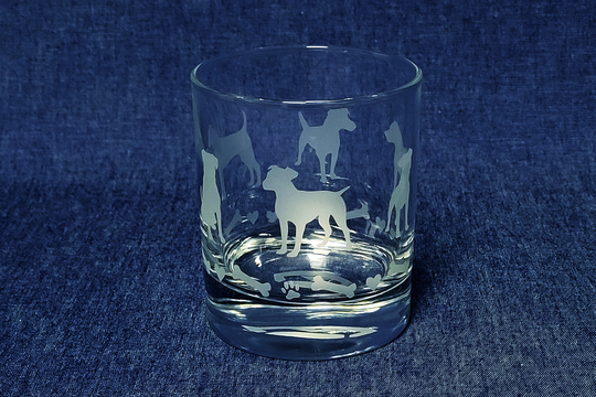 Patterdale Terrier Engraved Glass Drinks Tumbler