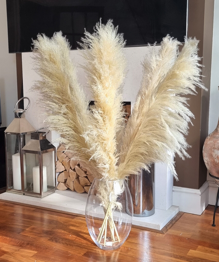 Large Pampas Grass | Natural Cream Fluffy Grass Pampass Grasses Home Decor Tall Dried Flowers Pampas Arrangement