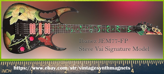 Ibanez Steve Vai Jem Guitar Refrigerator Magnet