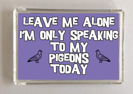 Pigeon Novelty Gift - Leave Me Alone Fridge Magnet, Ideal Present For Birthday Christmas, I Love Pigeons