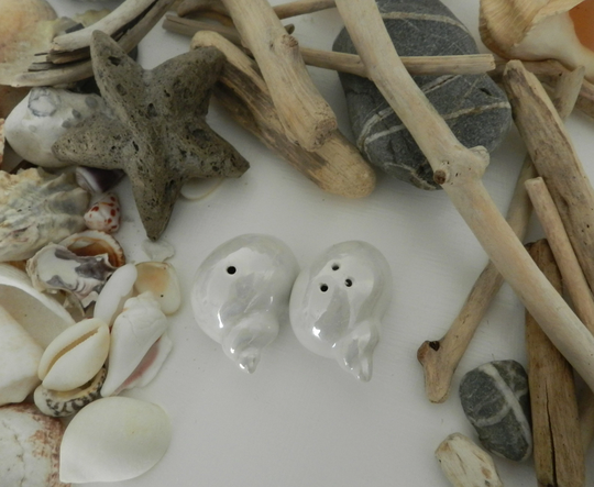 Shell Shaped Salt & Pepper Shaker Set
