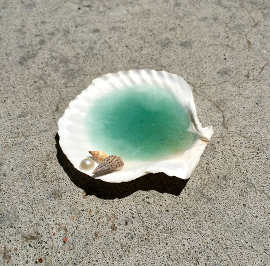 Miniature Resin Ocean Beach Lagoon Hawaii Blue Green White Mini Seashells Pearl Decoration in A Scallop Shell