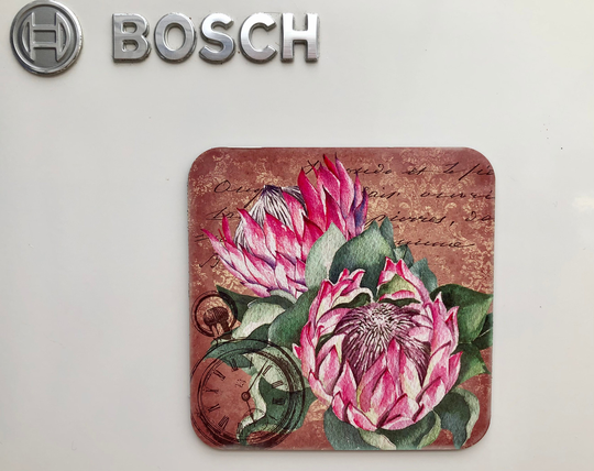 Fridge Magnet Set Of 4 Vintage Protea Design Hand Printed | 9 X cm . Vibrant South African Designs. Fynbos & Proteas
