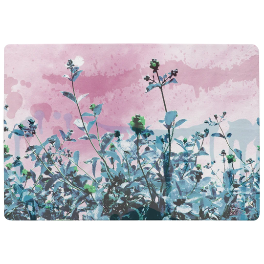Wilkinson Berry Sky Designer Shaggy Blue/Pink Rug