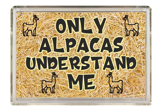Alpaca Novelty Gift - Only Alpacas Understand Me Fridge Magnet Ideal Present For Christmas Birthday I Love
