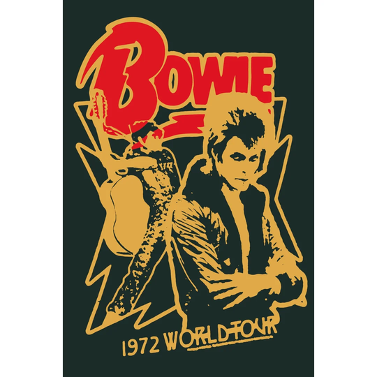 Bowie World Tour - Floater Frame Art Print on Canvas