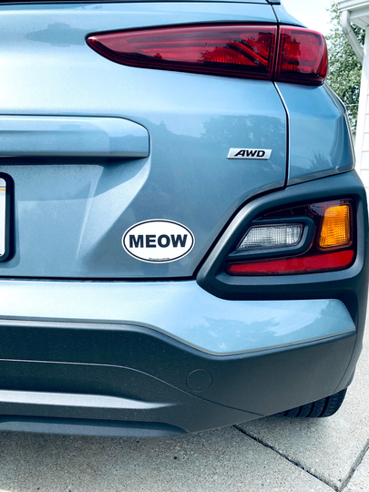 Two Oval Cat Car Magnets | Waterproof/Weatherproof