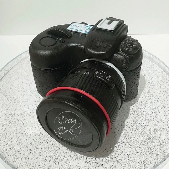 Handmade Sugar Paste Fondant Camera Cake Topper