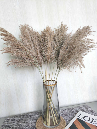 10/20 Natural Small Pampas Grass Bundle,dried Brown Bouquet,pampas For Vase,home Decor,wedding Decor