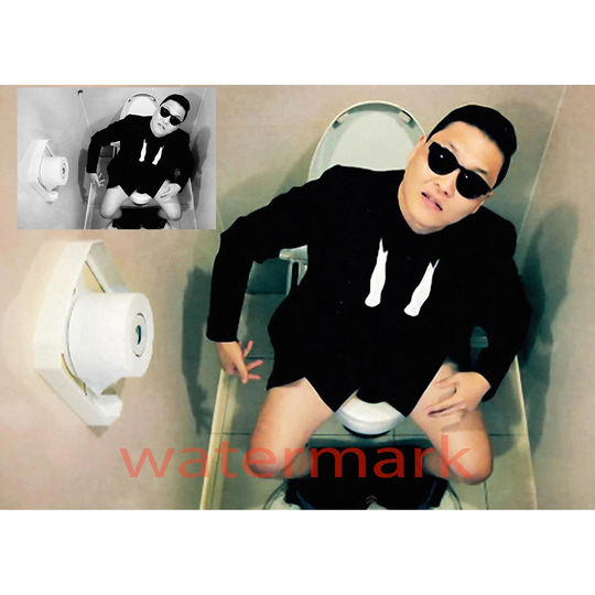 Korean Pop Artist Psy Gangnam Style Bathroom Comedy Toilet Scene Photo Reproduction Choose Color, Black White B4