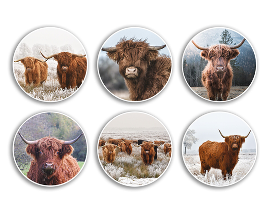 6 X 10cm Highland Cow Round Vinyl Stickers - Winter Scottish Animal Farm Mountain Scotland Travel Scrapbooking Gift #78978