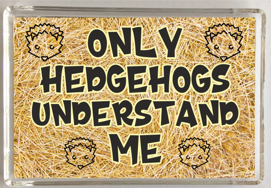 Hedgehog Lover Gift - Only Hedgehogs Understand Me Novelty Fridge Magnet Ideal Present Fun