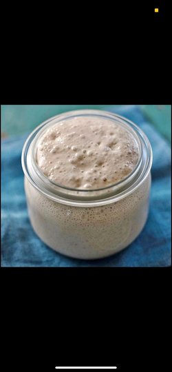 West Sussex Wild Yeast Sourdough Starter -200G With Full Instructions Provided - Best Seller