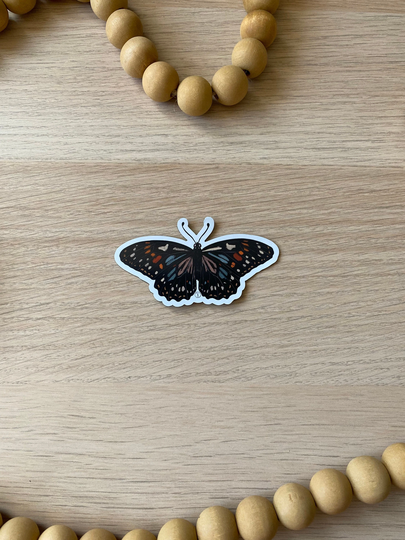 Butterfly Magnet| Fridge Insect