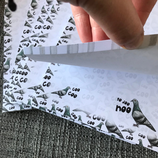 Pigeon A5 Writing Paper Pad Notepad Notes Catherine Redgate Stationery Organise Bujo Office To Do List Letter Write Note Bird City Rat