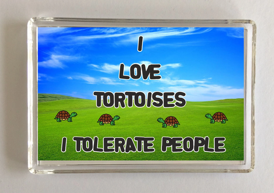 I Love Tortoises Tolerate People, Novelty Fridge Magnet, Ideal Present Gift For Birthday Christmas, Tortoise Gift, Reptile