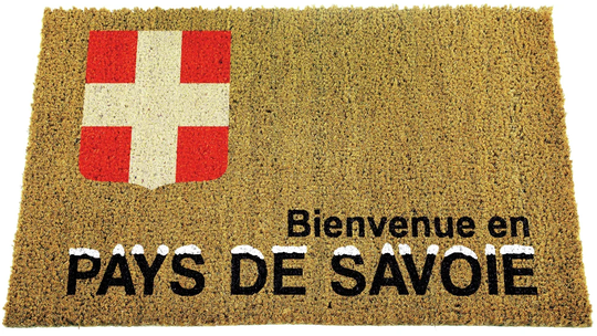 Daijon Coir Doormat