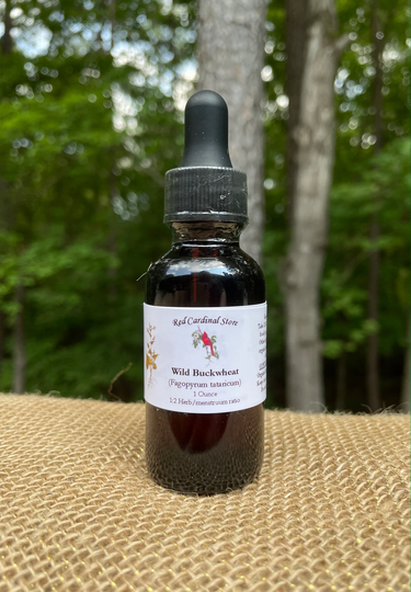 Wild Buckwheat | Jin Qiao Mai Tincture Herb Extract Double Extraction