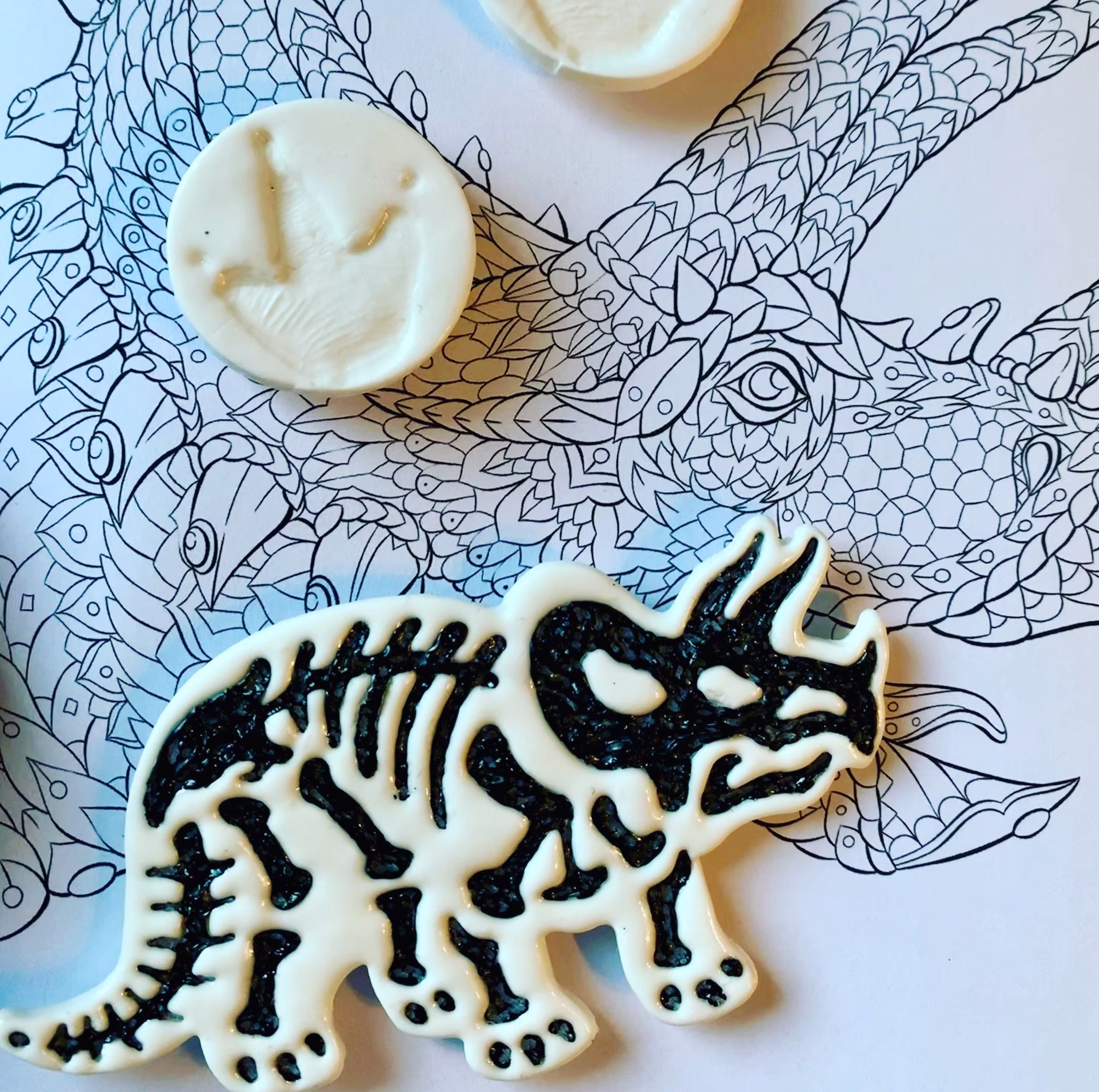Triceratops Fossil Magnet