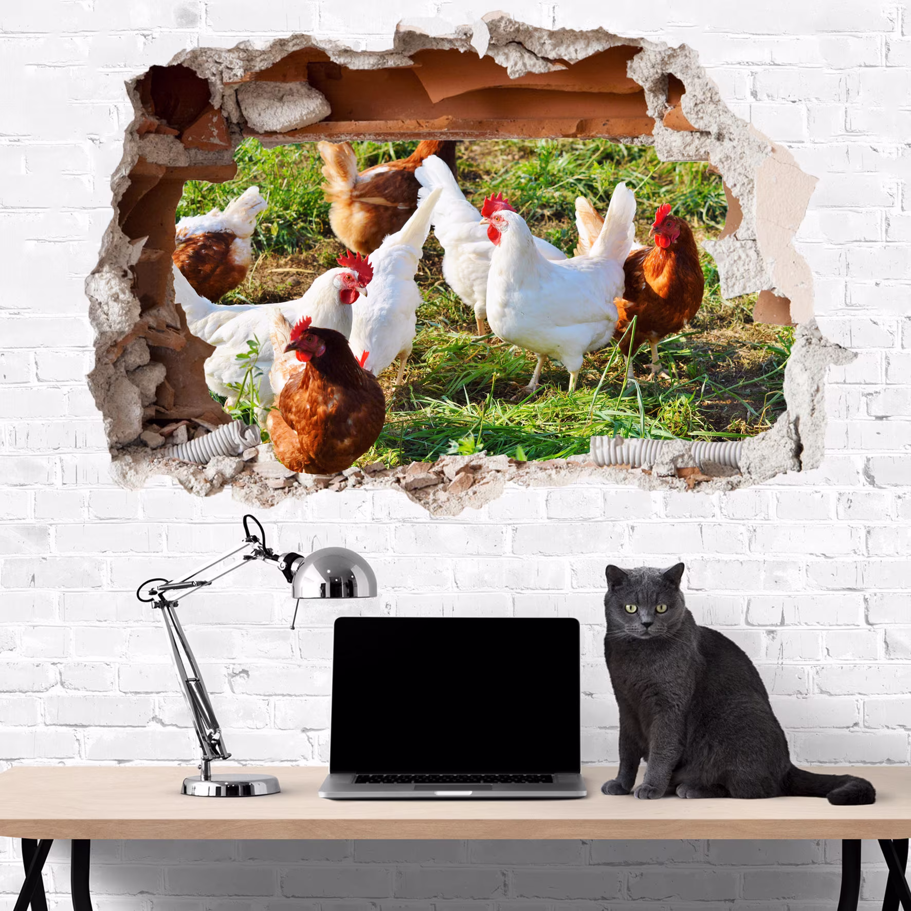 Farm Animals Chicken & Roosters Wall Sticker Art Poster Mural Transfer Decal Print Kids Living Room Home Nursery Office Decor Id289