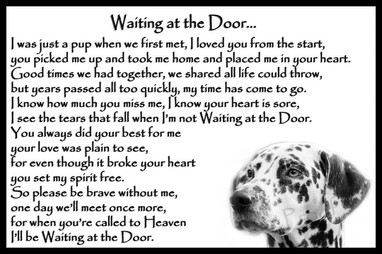 Dalmatian Dog Memorial Fridge Magnet Pet Loss Bereavement Gift