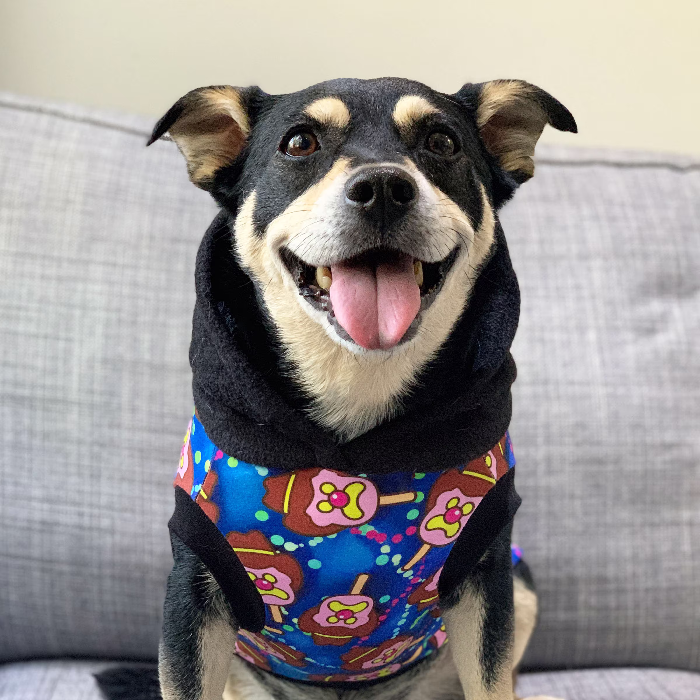 Bubble O Bill Fleece Dog Hoodie/Handmade in Australia Hoodies