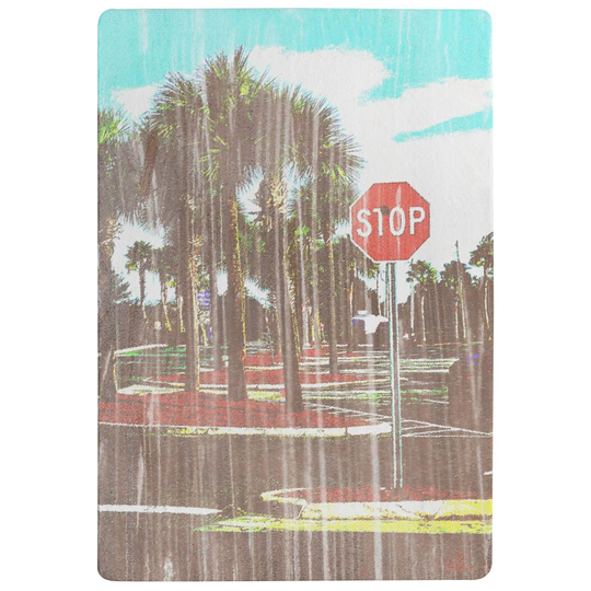 Beale Stop Designer Shaggy Black/Green Rug